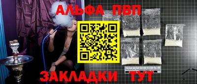 шишки Новодвинск