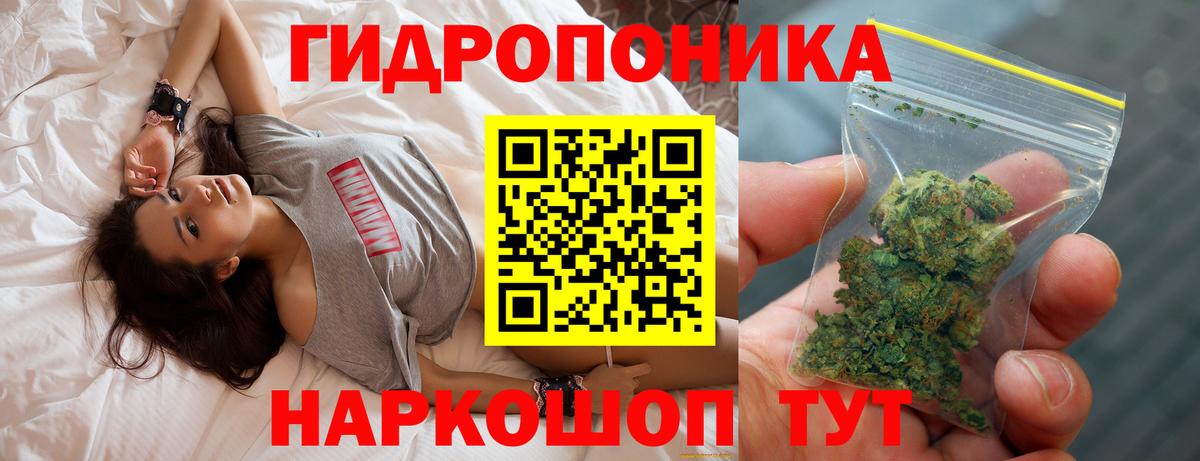 Шишки марихуана индика Сухой Лог